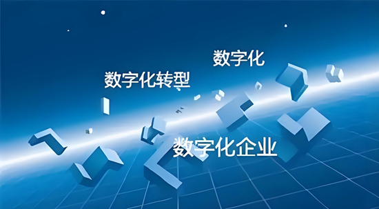 数字化转型中的企业安全与隐私问题探讨