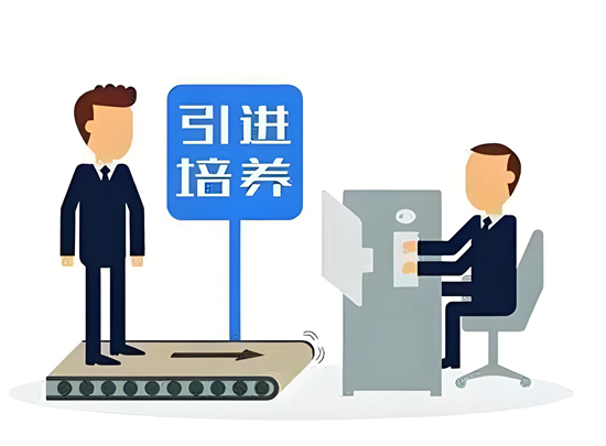 小家电企业在数字化转型中的人才培养与引进
