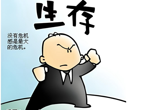 2024下半年,企业生存法则:创新营销策略揭秘